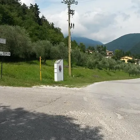 Cecilia Alborghetti * Salo